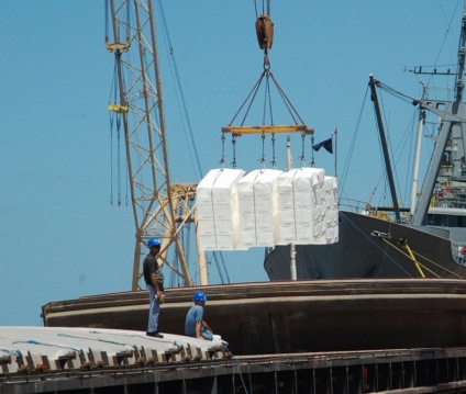 Venda de celulose gerou US$ 560 milhões nos quaro primeiros meses do ano - Arquivo/JPNEWS