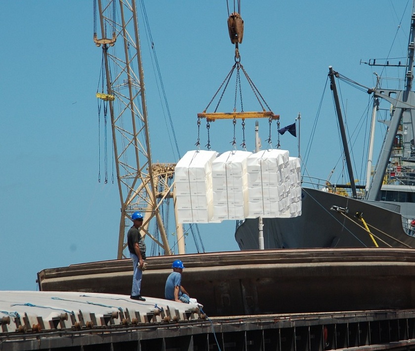 Venda de celulose gerou US$ 560 milhões nos quaro primeiros meses do ano - Arquivo/JPNEWS