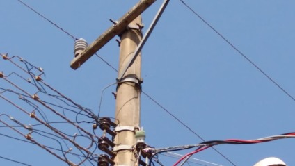 Concessionária de energia informou que remoção das abelhas será realizada - Alex Santos