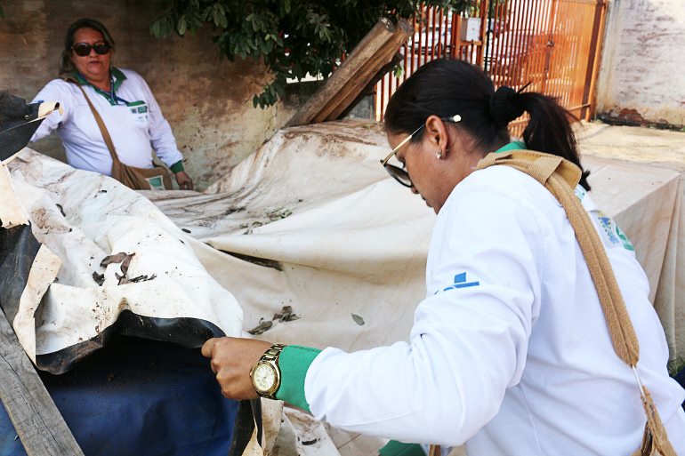 Focos criadouros do mosquito da dengue são encontrados dentro dos quintais de residências - Danielle Leduc/JPNews