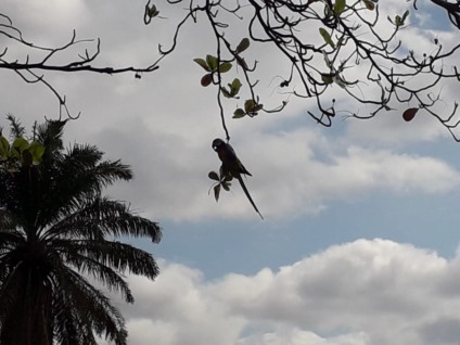 A semana começa com sol forte e muito calor em Paranaíba - Talita Matsushita