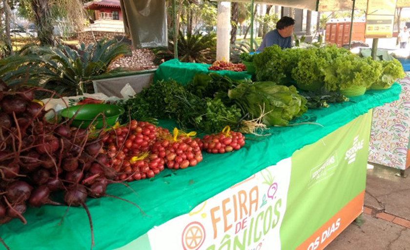 eja por opção nutricional ou por filosofia de vida, as pessoas podem se tornar vegetarianas por inúmeras razões - Néia Maceno/Portal MS