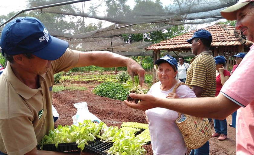 Cerca de 80 agricultores participaram das ações promovidas durante o evento - Imagem cedida