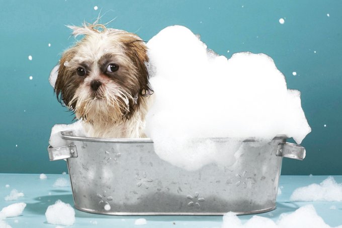 Como tomar banho para ter mais disposição Como tomar banho para ter mais disposição