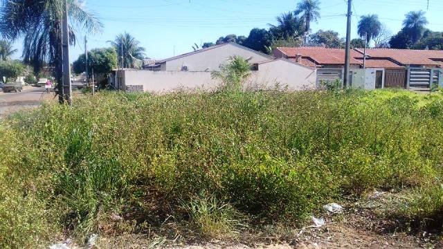 Terreno baldio no bairro Santa Rita causa transtorno aos moradores  - Ana Cristina Santos/JP