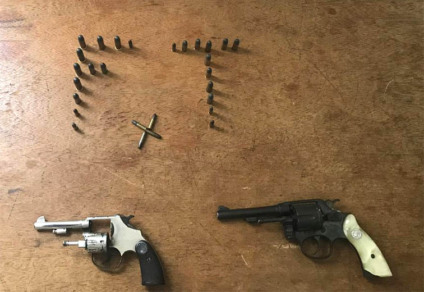 Primo de Castilho confessou ser dono das armas - Imagem cedida