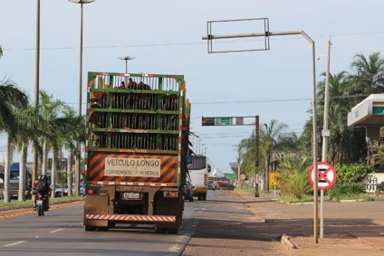 PERIGO > Carretas e outros veículos pesados atravessam área urbana de Três Lagoas - Danielle Leduc/JPNews