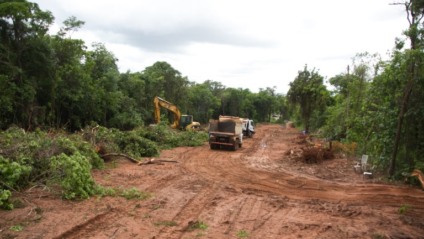 Várias árvores foram derrubadas para construção da Avenida Fadel Yunes, no Parque dos Poderes - Marlon Ganassin / divulgação