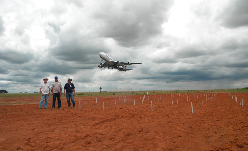 Pesquisadores propõe o termo “Agricultura de aeroporto” para definir um conjunto de técnicas de manejo de cobertura vegetal de solo - Reprodução