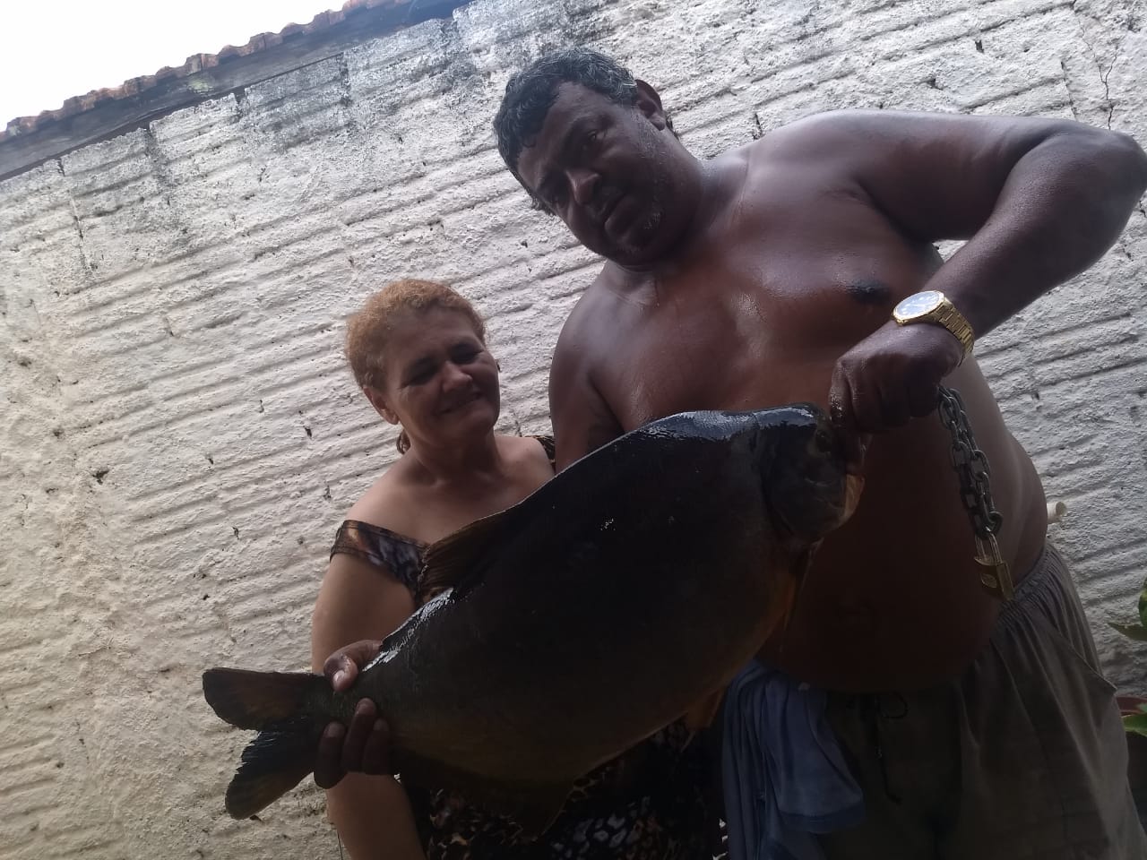 Pacú-caranha de aproximadamente 12 quilos pesacado na lagoa maior em Três Lagoas - Marcelo Marcos