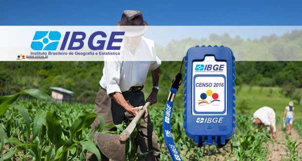 IBGE não fará Censo Agropecuário em 2017 por falta de verbas - Divulgação/IBGE