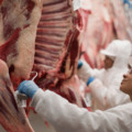  China segue como o principal destino da carne bovina brasileira