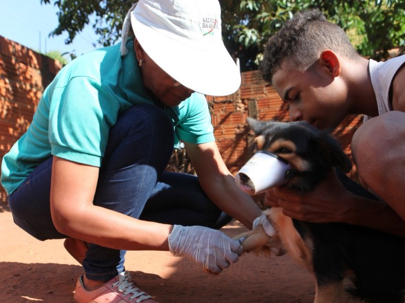 Centro de Zoonoses inicia a segunda etapa de estudos sobre o uso da coleira de leishmaniose - Elias Dias/Arquivo