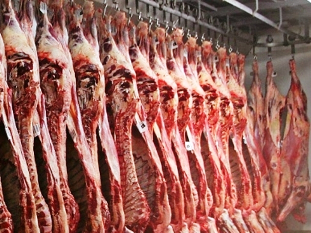 Carne que será produzida em Paranaíba será para exportação - Divulgacao