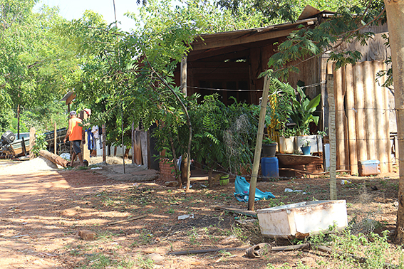 Casas e barracos foram construídos em área de preservação ambiental há mais de 20 anos - Danielle Leduc/JPNews Casas e barracos foram construídos em área de preservação ambiental há mais de 20 anos - Danielle Leduc/JPNews