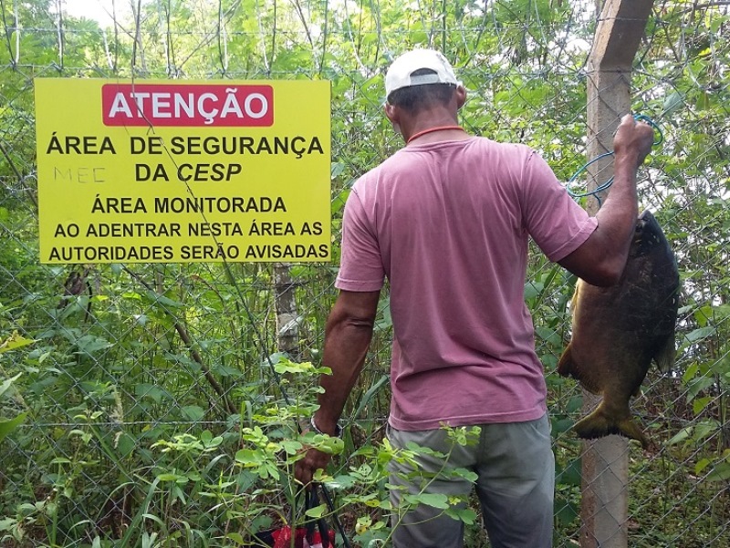 Homem foi flagrado às margens do Rio Paraná após capturar peixe de 5 kg - Divulgação/PMA