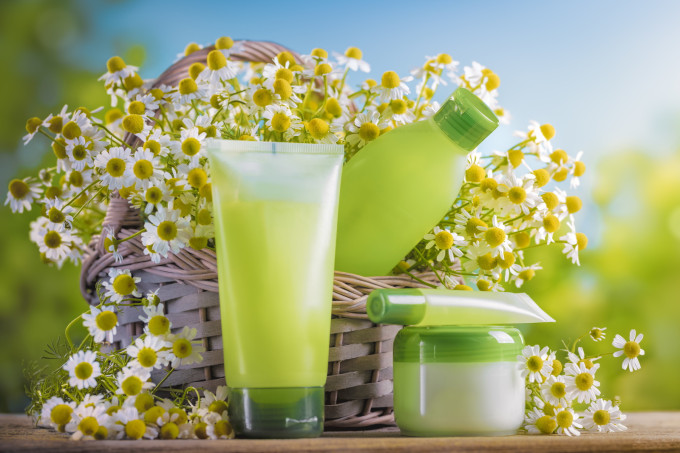 Anti-inflamatória e calmante: saiba como a camomila pode ajudar sua pele Anti-inflamatória e calmante: saiba como a camomila pode ajudar sua pele