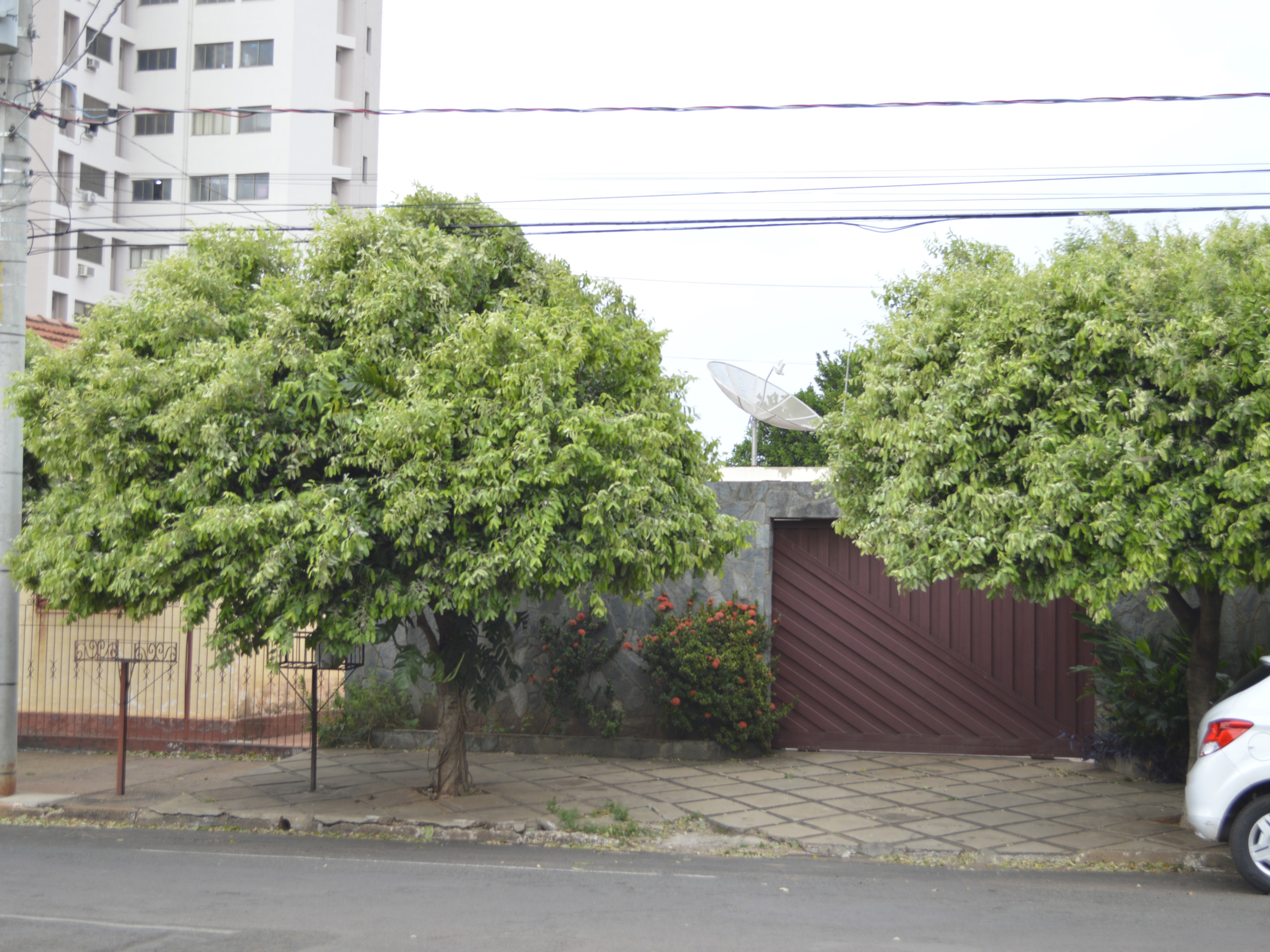 Vento atingiu 58 quilômetros por hora às 10h, e 66 km/h, às 11h nesta terça-feira, 8 - Leandro Elias/JP