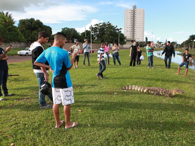 Três-lagoenses se aproximaram do jacaré e registraram fotos do bichano - Elias Dias