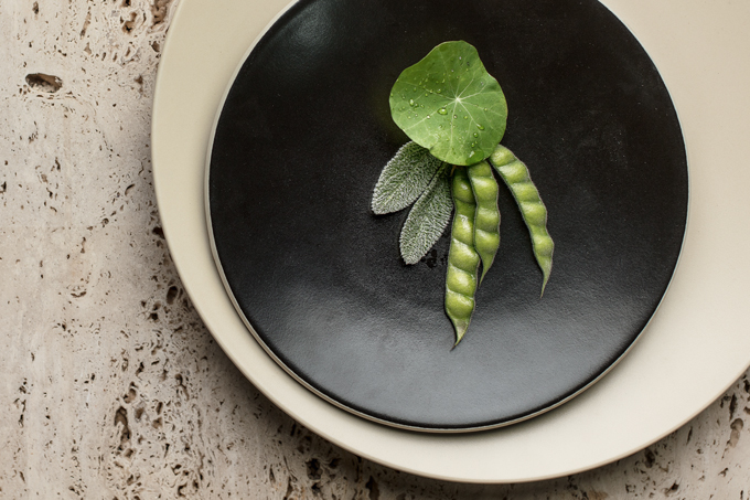 Mato no prato Mato no prato