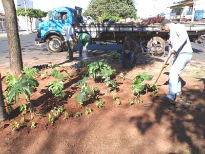 A revitalização nos canteiros centrais da Cidade foi lançado durante o pacote de obras que a prefeita Márcia Moura  anunciou no dia 30 -