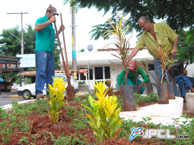 Meio Ambiente planta mudas para embelezar avenida Eloy Chaves -