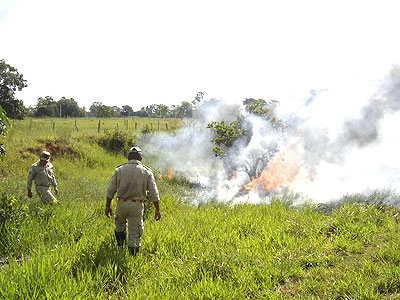 Militares atuaram com abafadores para controlar as chamas - Militares atuaram com abafadores para controlar as chamas -