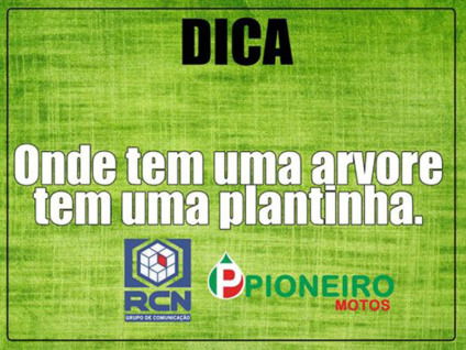  - Ilustração