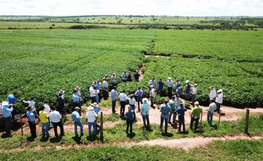 Estima-se que a área plantada de soja em Paranaíba na safra 2018/2019 já seja superior a 4 mil hectares - Divulgação/Sindicato Rural