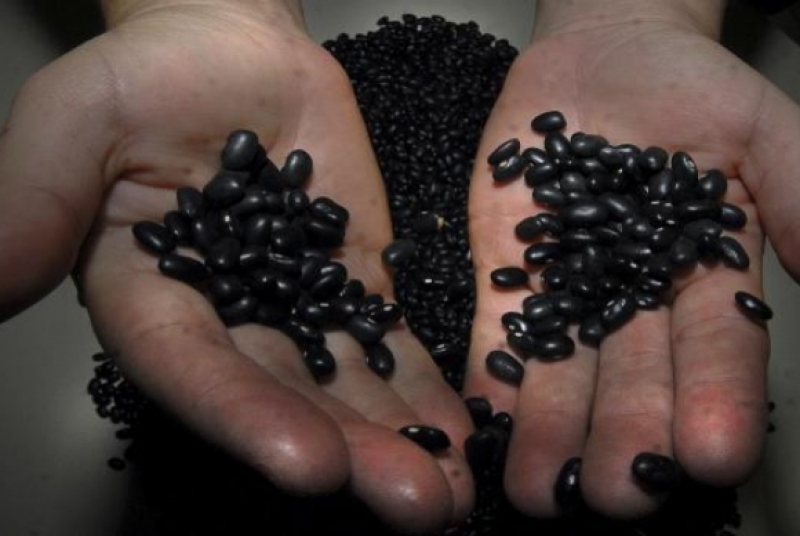 O feijão-carioca, cujos preços subiram, em média, 58,06%, foi o item que exerceu o maior impacto sobre a inflação medida pelo IPCA-15 - Marcello Casal Jr./ABr O feijão-carioca, cujos preços subiram, em média, 58,06%, foi o item que exerceu o maior impacto sobre a inflação medida pelo IPCA-15 - Marcello Casal Jr./ABr