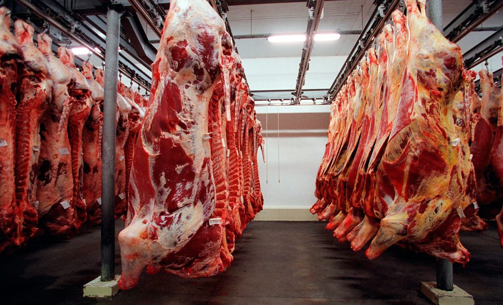 A exportação de carne bovina in natura do Brasil somou 144,42 mil toneladas em agosto - Divulgação