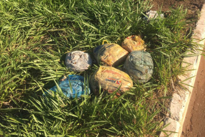 Material orgânico podre foi deixado às margens de avenida - Cedida
