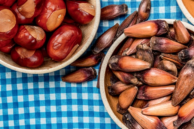 Castanha portuguesa ou pinhão: qual é mais saudável?