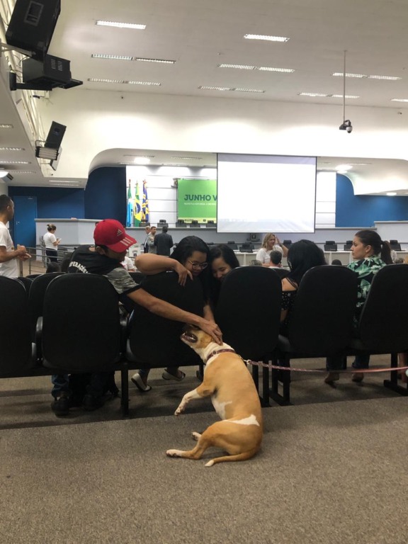 Os cães do Corpo de Bombeiros marcaram presença na Audiência Pública. - Foto: Giovanna Dauzacker/CBN