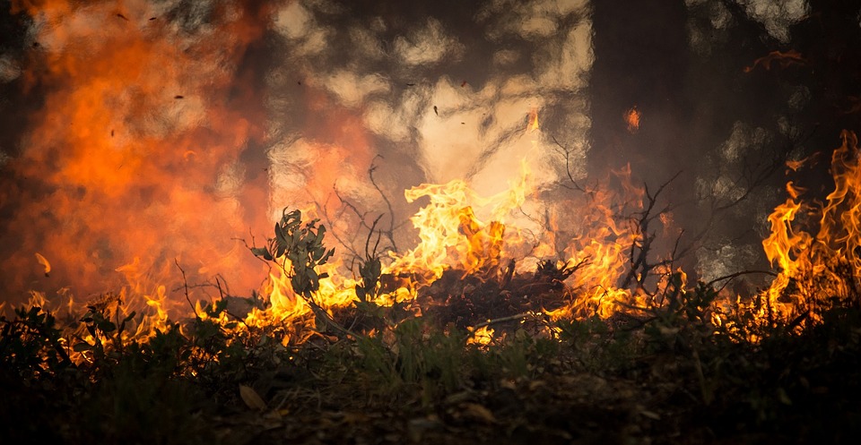 Mais de 400 focos de incêndio foram registrados nos primeiros 16 dias de junho na Capital