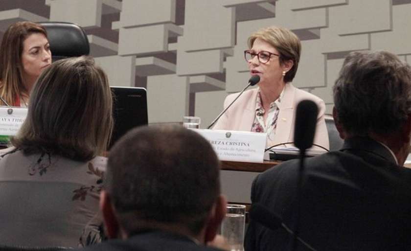 A ministra da Agricultura, Tereza Cristina, o ministro da Infraestrutura, Tarcísio de Freitas, e líderes de caminhoneiros se reúnem nesta semana. - Foto: Reprodução/Facebook