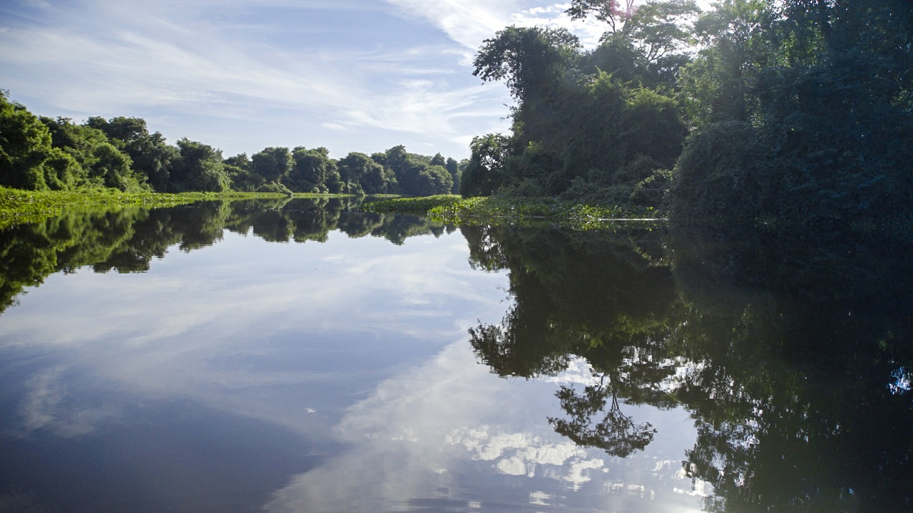 A preservação do Pantanal está ligada ao fato da área ter limitação de uso, segundo explicou o gerente do WWF-Brasil, Júlio César Sampaio - Foto: Thiago Akira