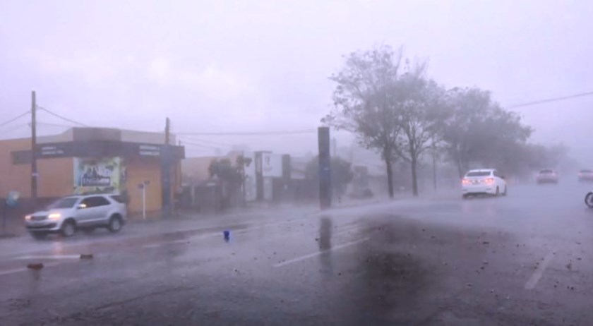 O temporal foi o suficiente para derrubar diversas árvores - Divulgação