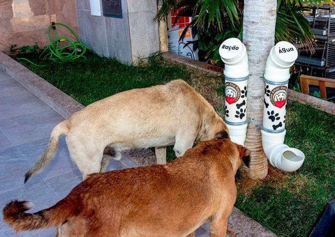 Praças vão ganhar equipamentos para alimentar animais de rua que passarem pelo local - Divulgação