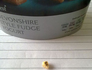 Dente estava dentro de pote de iogurte -