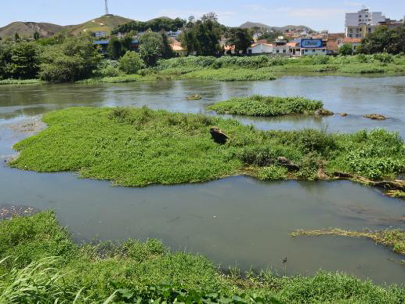 Governo do Rio planeja o reflorestamento das margens do Paraíba do Sul, um dos mananciais que abastecem o estado - Agência Brasil/Tomaz Silva