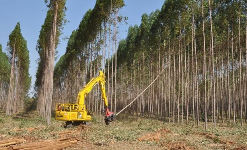 Vagas de emprego são para Três Lagoas, Brasilândia e Água Clara - Arquivo/JPNEWS