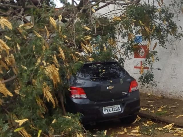 Rajada de ventos durou cinco minutos, mas foi o suficiente para provocar estragos - Divulgação /Defesa Civil