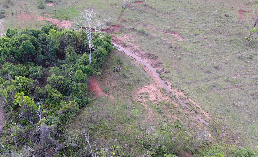 Homem responderá por crime ambiental de degradação de área de preservação permanente - Divulgação/PMA