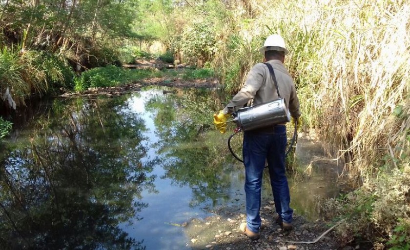 Os agentes de endemias visitaram 3.777 imóveis e nesse total e foi constatada a presença de 38 depósitos positivos do Aedes aegypti. - Arquivo/JPNEWS