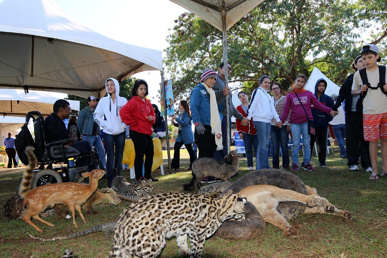 População  poderá conferir os stands de animais taxidermizados, pela Polícia Militar Ambienta - Divulgação