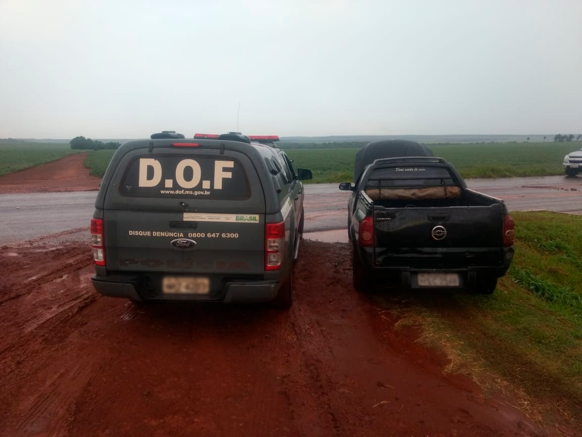 A apreensão foi durante uma abordagem do bloqueio policial para fiscalização na rodovia MS-164 - Divulgação/DOF