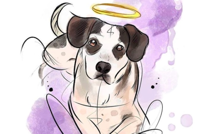 Saiba como denunciar práticas de maus-tratos a animais Saiba como denunciar práticas de maus-tratos a animais