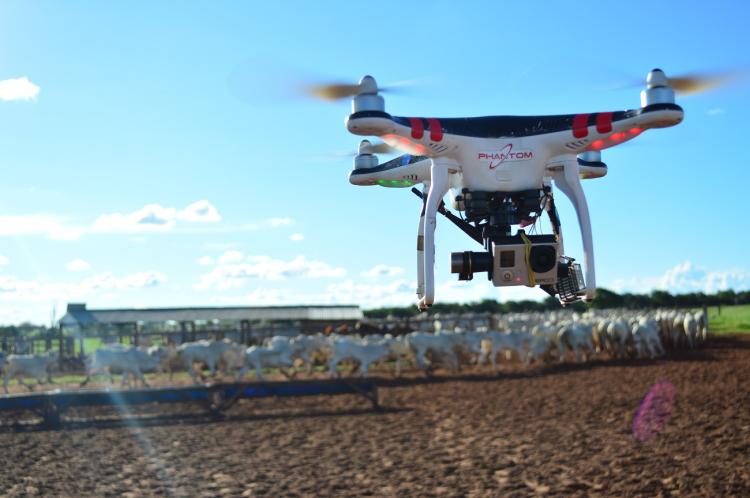 Os drones se popularizaram entre agricultores que usam o equipamento para monitar lavouras - Foto: Sistema Famasul