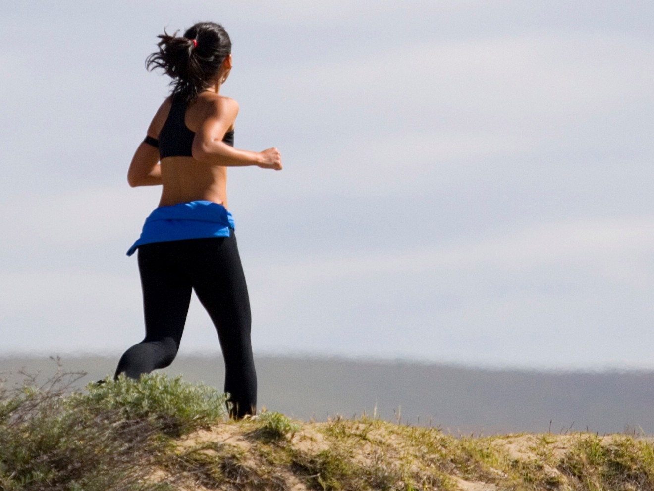 - Ilustração - Ilustração